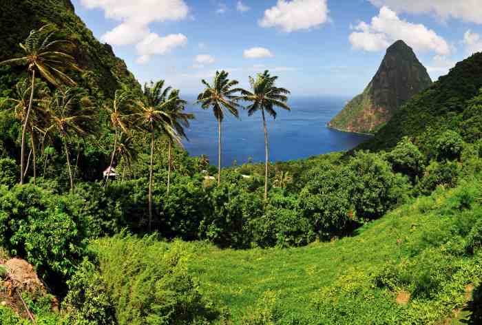 The volcanic pitons in St Lucia in the sea seen from a vantage point in the green hills with trees, bushes and grass. 