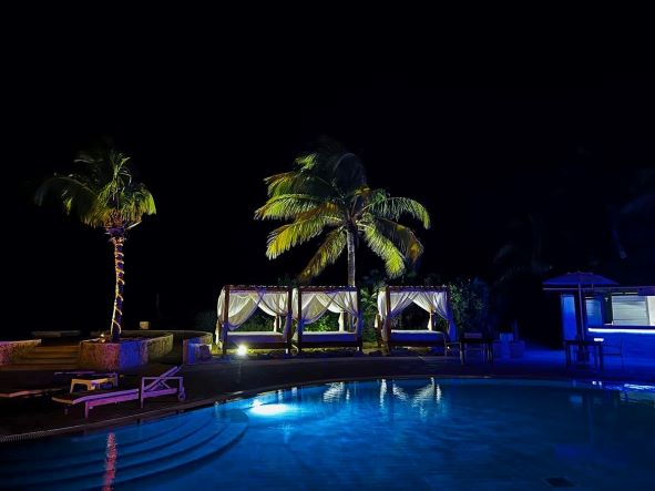 The stunning lit hotel pool at night, the water looks clear blue, the palm trees lit from below, and the night sky is black. 