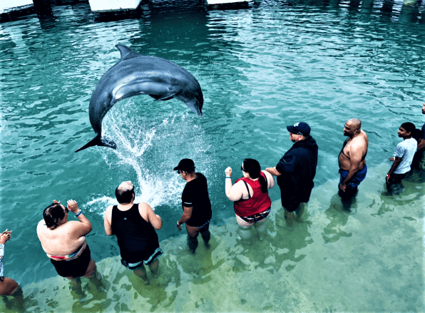 People standing knee-high in water in the dolphinarium watching a dolphin doing tricks right in front of them in the water. 