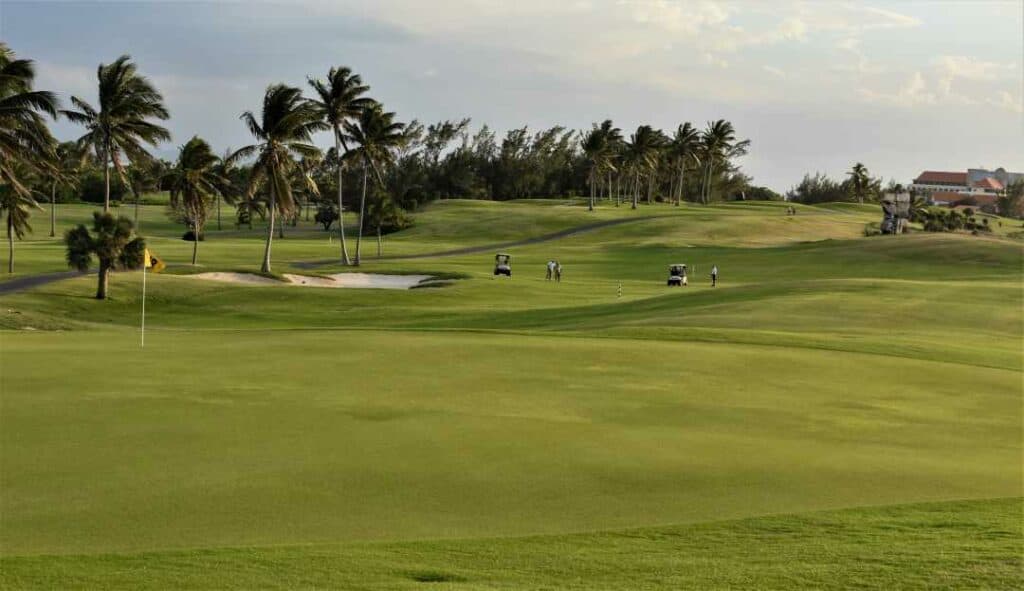 The vast greens at Varadero Golf Club surrounded by palm trees under a clear light blue sky. 