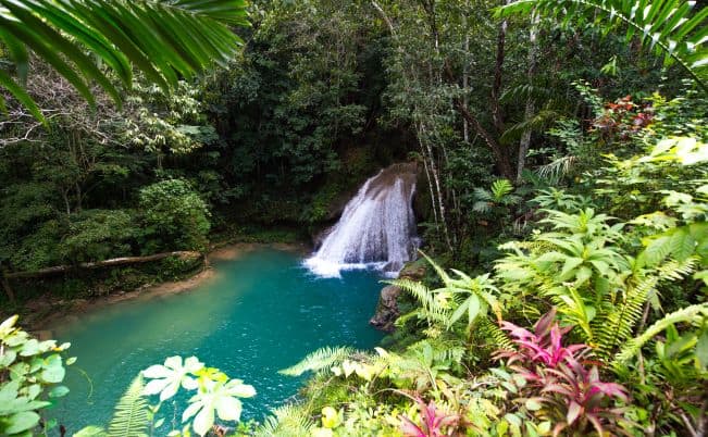 The little waterfall in the Blue Hole Lagoon in Ocho Rios, crystal clear greenish water surrounded by plants and greenery