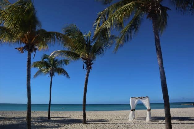 A part of Varadero beach with white sands, tall slim palm trees, and a single wihite tent with white curtains where you possibly could get married, in front of the blue sea and sky