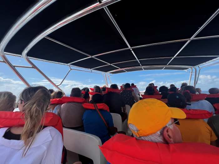 The boat taking us to the whale sighting areas, everyone wearing red vests, and sitting like in a bus! There is a roof over the boat what drives fast out to sea. 