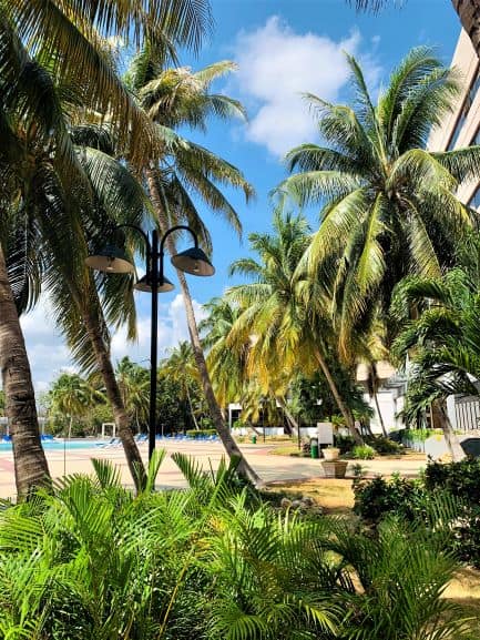 The hotel Memories pool area seen through greenery from the garden, Havana, Cuba. 