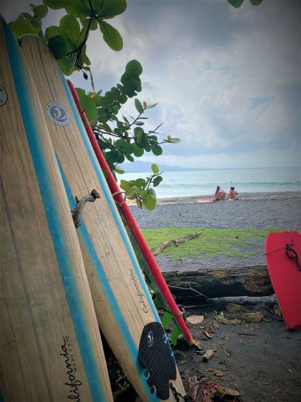 Surf boards waiting for surfers on a Costa Rica beach 