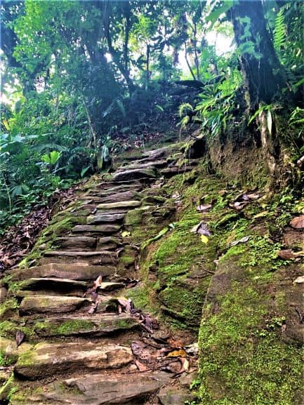 Part of the 1200 steps of natural stairs up to the Lost City