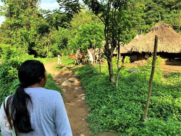 Passing local villages with circular huts on our way to the Lost City. A wiwa tribe guide with long black hair is walking in front, in the green forest along the path, and locals are in the distance. 