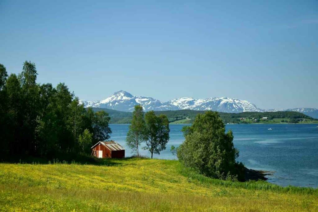 Summer in Lofoten, green grass and trees in the foreground in front of the deep blue sea, and vast snow capped mountains in the distance under a blue sky