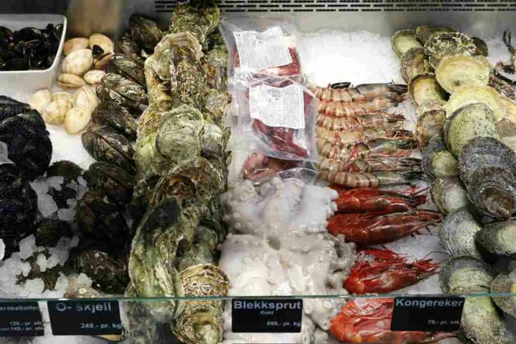 Fresh seafood at the Bergen Fish Market, incuding scampi, squid, and different shellfish, lying on ice