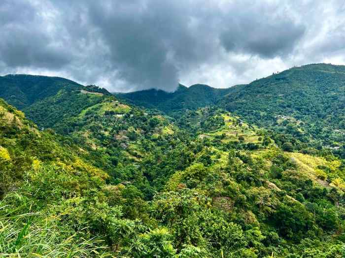 Blue Mountains coffee tours Jamaica: with stunning infinite views of the rolling green hills of the Blue Mountains. 