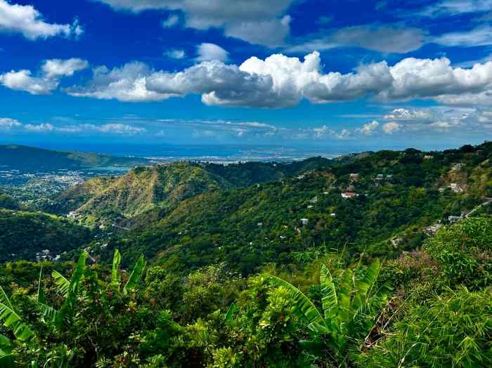 Blue Mountains stunning green views in Jamaica