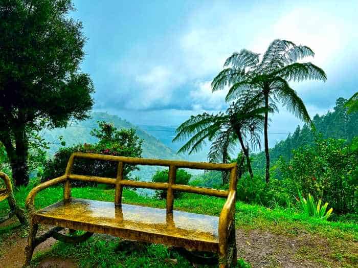 A park bench on a resting point in the Blue Mountains in Jamaica, all wet and shiny from the afternoon rain, with the bluish green rich views of the valley below behind a couple of palm trees