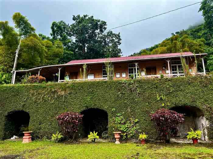 An old wooden coffee house in the Blue Mountains in Jamaica, with a wooden porch above the old coffee bean storages in the brick wall covered with greenery, where coffee beans were dried in the old days. 