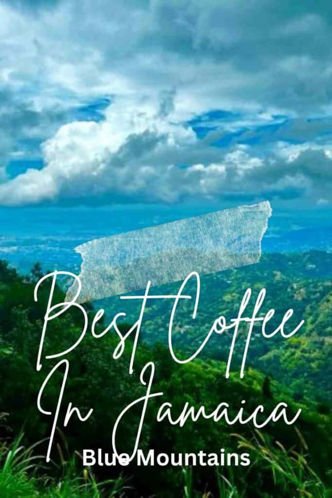 3 best coffee tours Jamaica