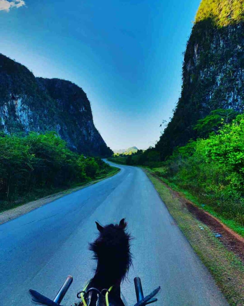 Horse and carriage in Vinales Cuba driving on a light grey paved road in a valley between two steep mogote hills