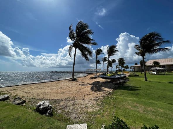 Sandy resort beach in Grand Cayman with golden sands and palm trees on a bright sunny day 