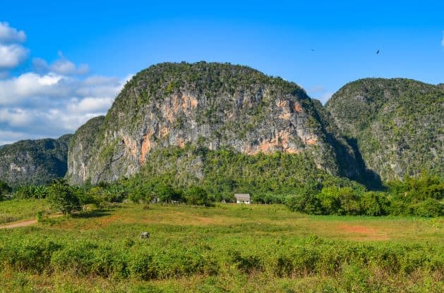 A mogote slightly up close, with a tiny white house in front. You see the characteristic steep limestone rock walls, while the mogote is also covered in green small trees and bushes. 