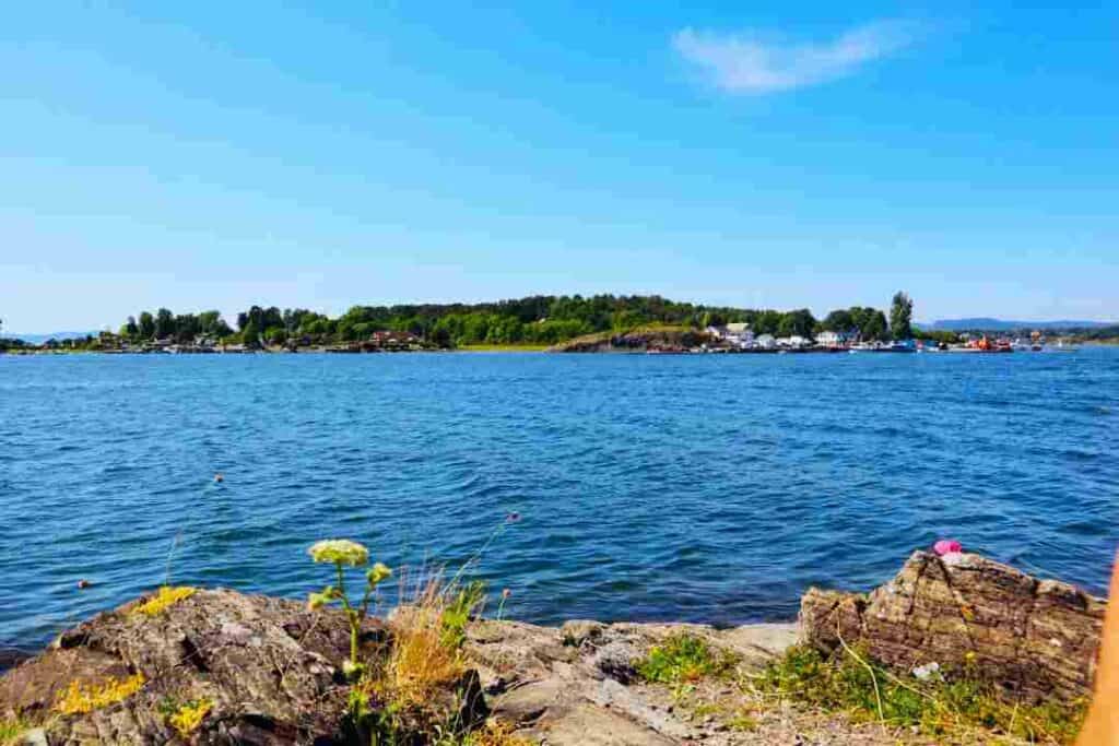 The Oslo Fjord islands in the summer, with deep blue water, green grass, cliffs with flowers on a sunny summer day under the blue sky