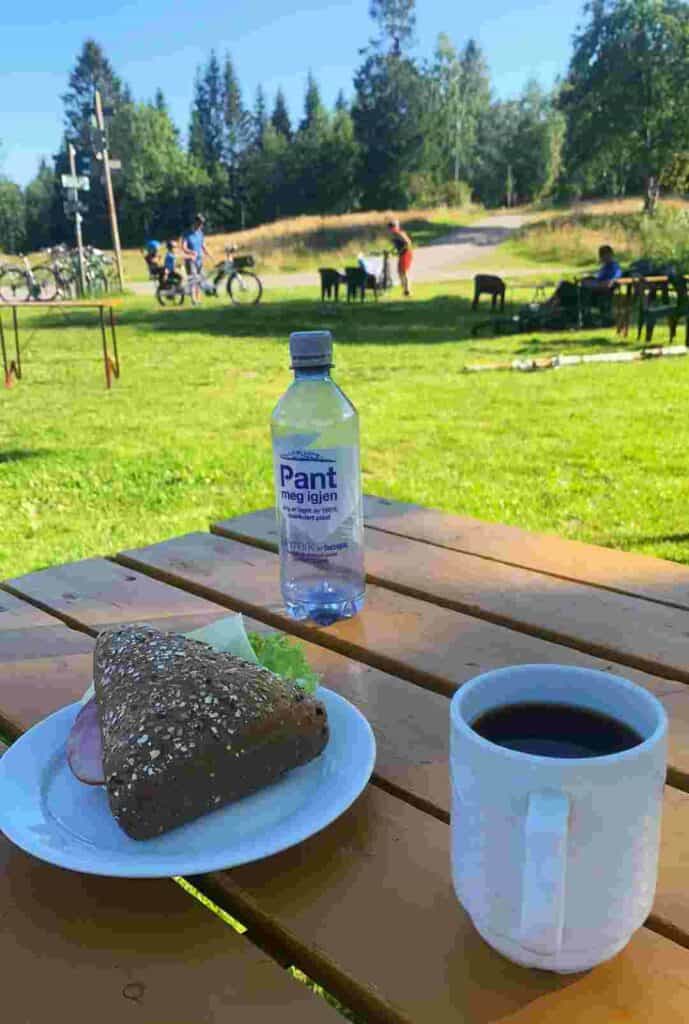 Hiking in the Marka Forest, a break at a forest cabin for coffee and lunch in front of the green grass