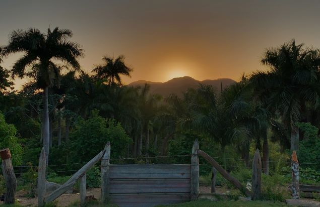 Glowing sunset over Vinales Valley in Cuba, with the golden sun in the distance below the hills, and green bushes, palm trees and a farm fence in front