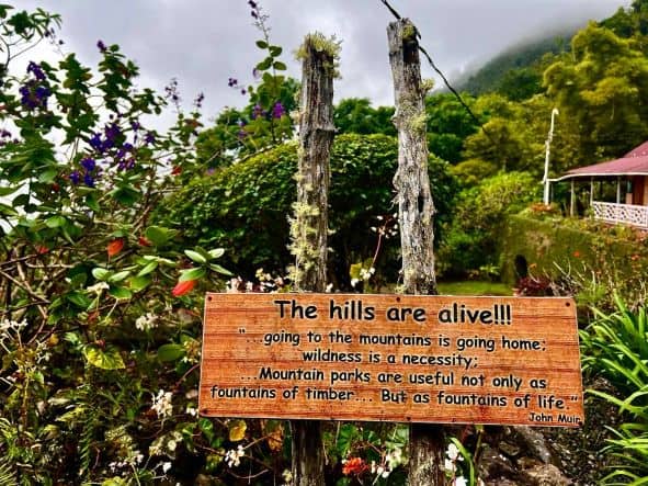 The incredible green vegetation around an old coffee farm in the Blue Mountains with a sign saying "The hills are alive!"