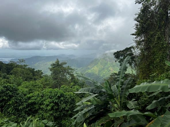 Stunning infinite views of the Sierra Maestra National Park in Cuba, the green lush mountains stretch infinitely into the horizon under a clouded sky