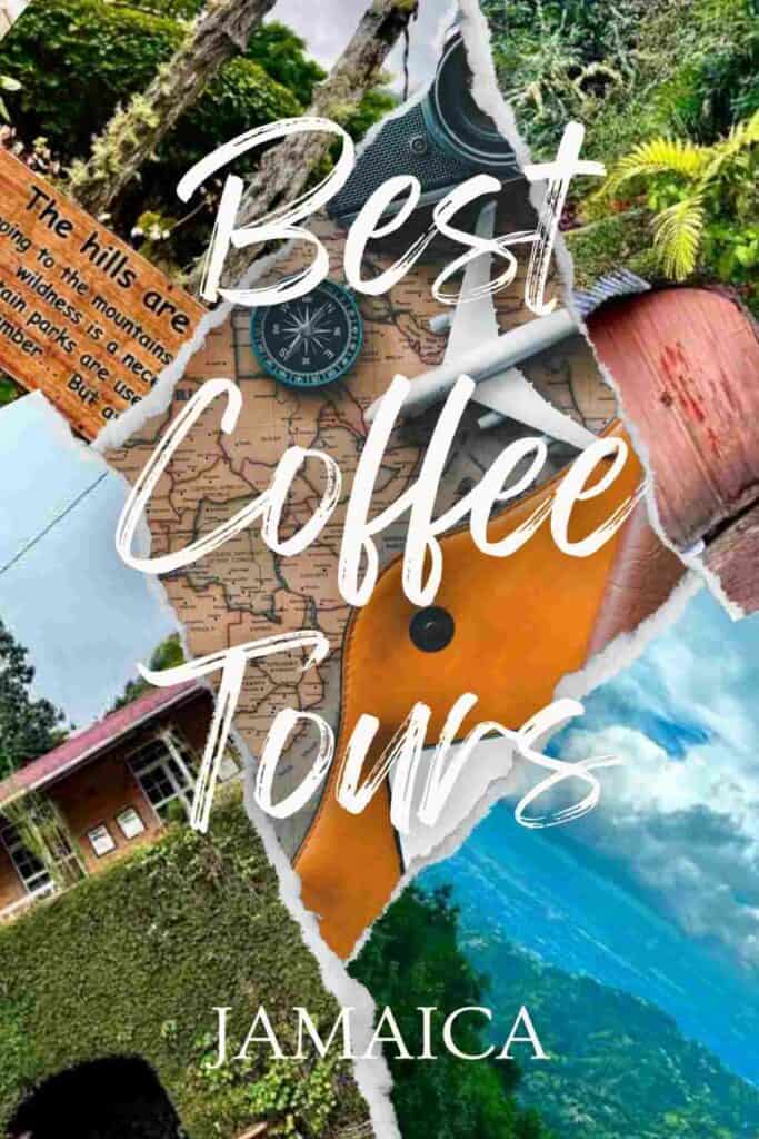 Amazing coffee tours Jamaica