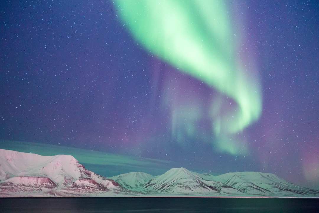 The green northern lights flowing across a dark winter sky over a cold, white winter wonderland