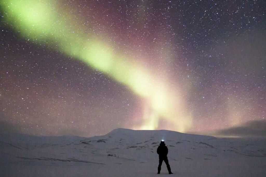 An incredible green wave of northern lights with a vail of pink light behind it on a dark winter sky, and a person standing on a snowy plain watching the spectacle