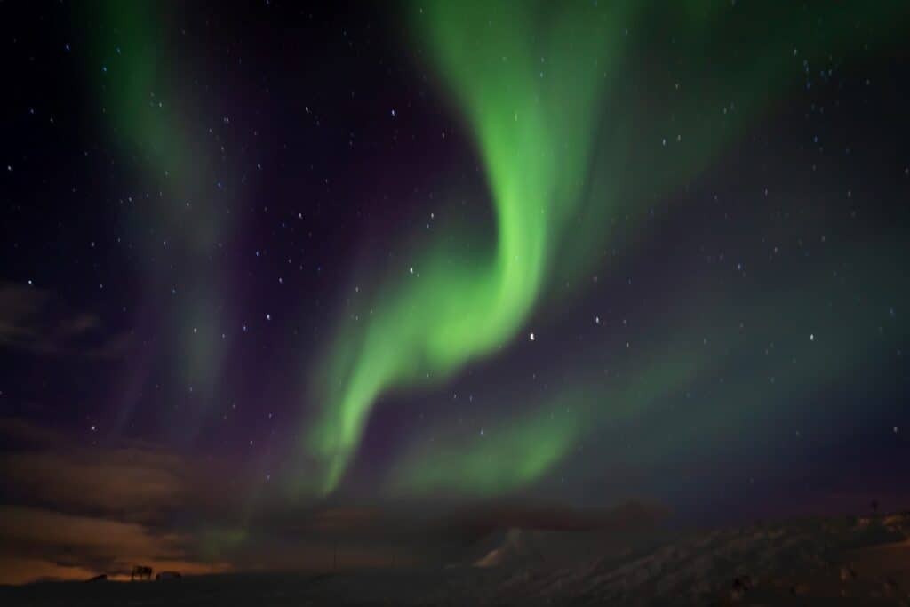 Green waivy northern lights on a dark night sky