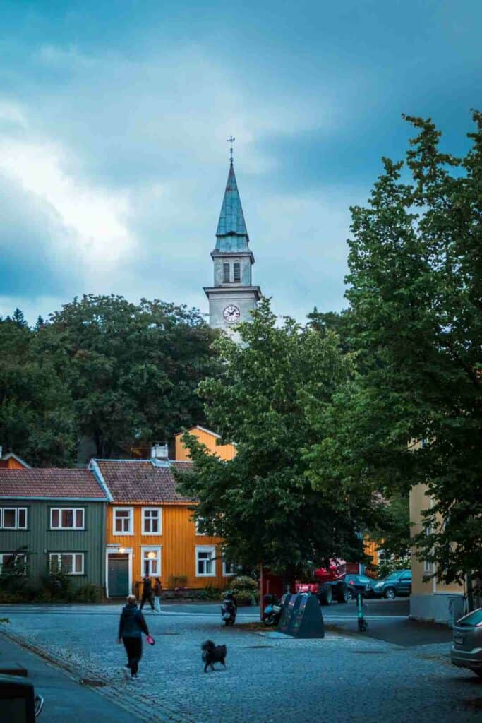 Charming cobblestoned street at dusk in the middle of colorful wooden houses, green trees and 