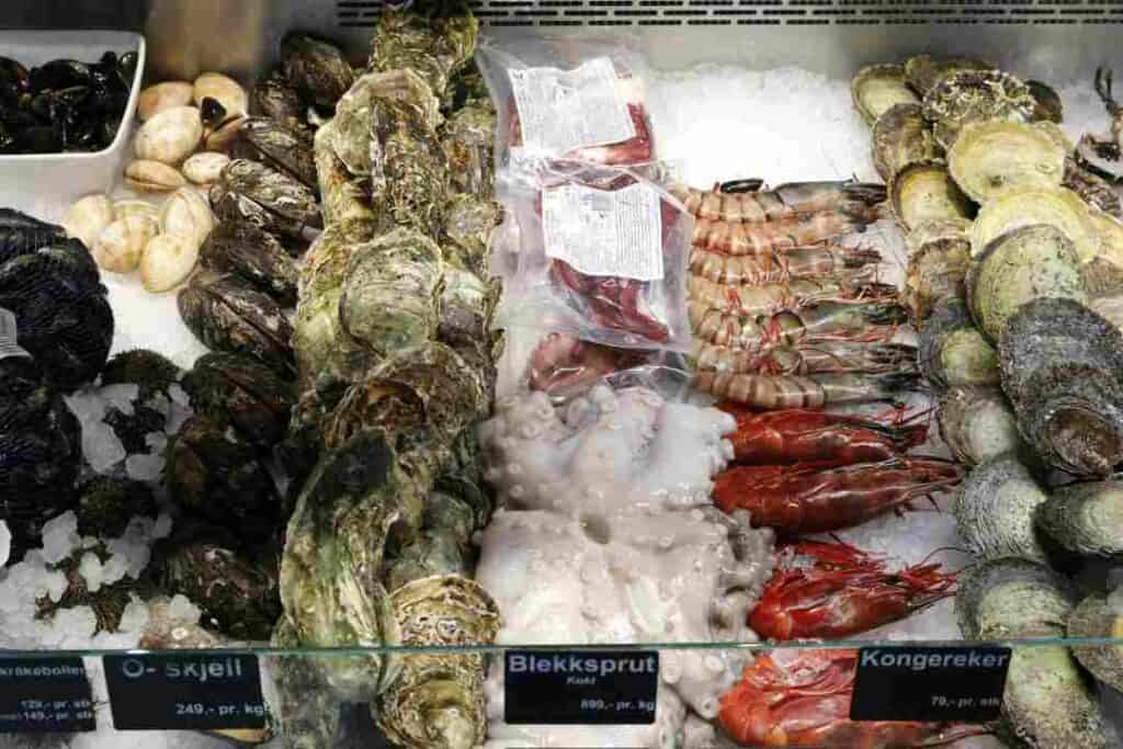 A collection of fresh seafood in a cold counter, clams, pink shrimps, scampi and more