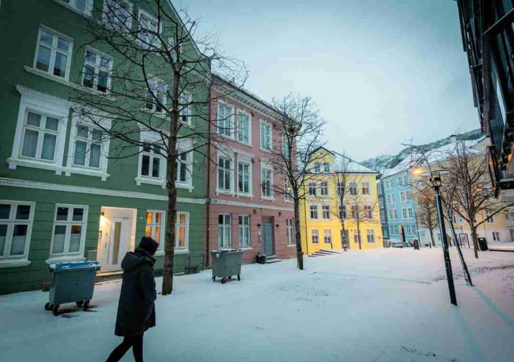 A cold winter day, a person walking with thick clothing in a winter street with naked trees and pastel colored houses liing the street in dusk lighting