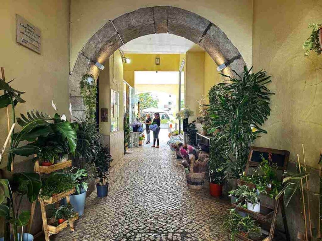 A narrow cobblestoned alley leading to a backyard, decorated with floewrs and greenery