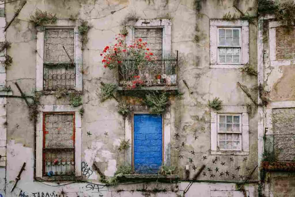 The white stone facade of an old building with crooked doors and window, a bright blue door, old windows, and still with plants growing right out of the building facade. Visit Lisbon in December