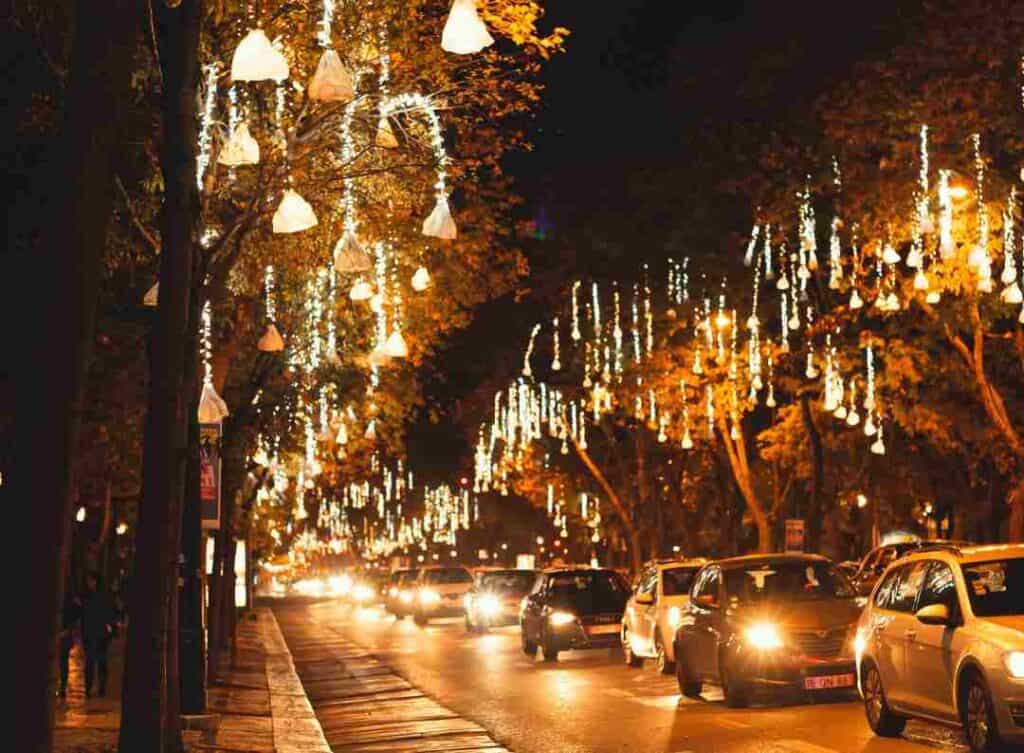 An avenue with cars at night, where thousands of lights are hanging from the treas overhead