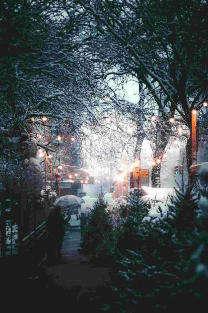 A park in winter with snow coming down among the trees, beautiful lighting in the trees and people walking around the heavy snow covered bushes with winter clothes on