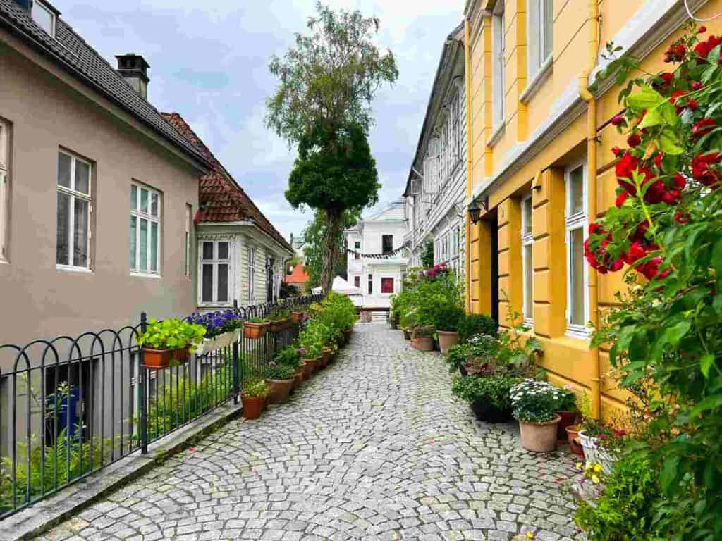 A charming cobblestoned streets surrunded by old classical houses and lot and lots of greenery and flowers. Here is the list of the best things to do in Bergen. 