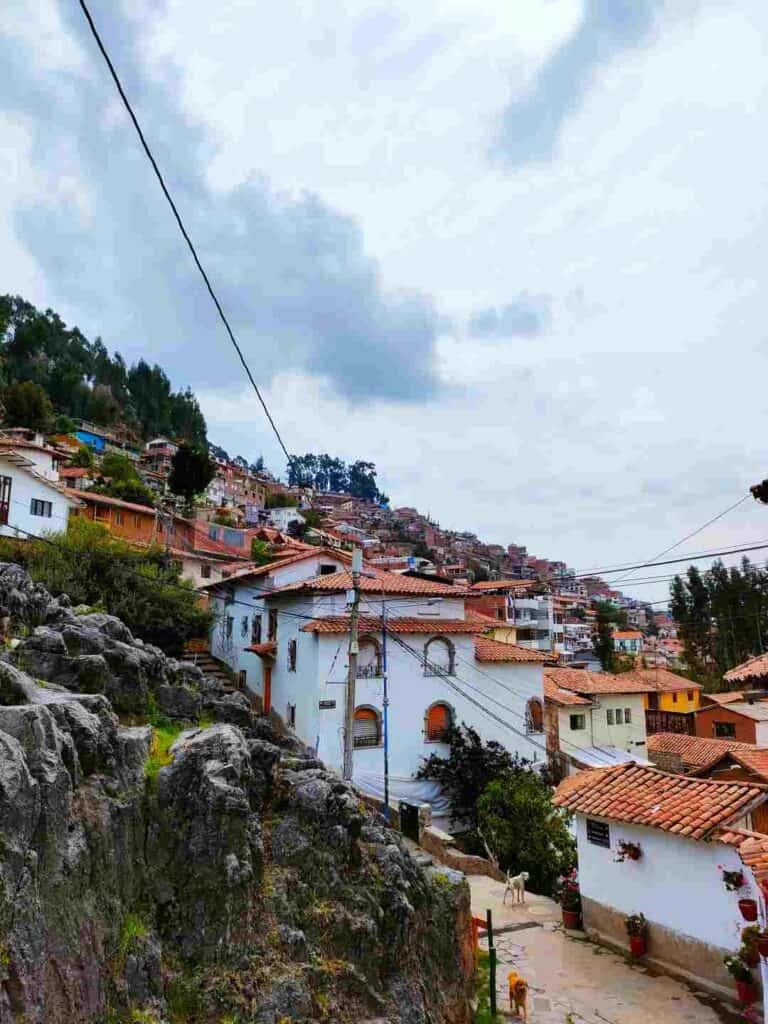 A residential area clinging to a steep hillside, with white stone houses, dogs in the streets, and maroon rooftops