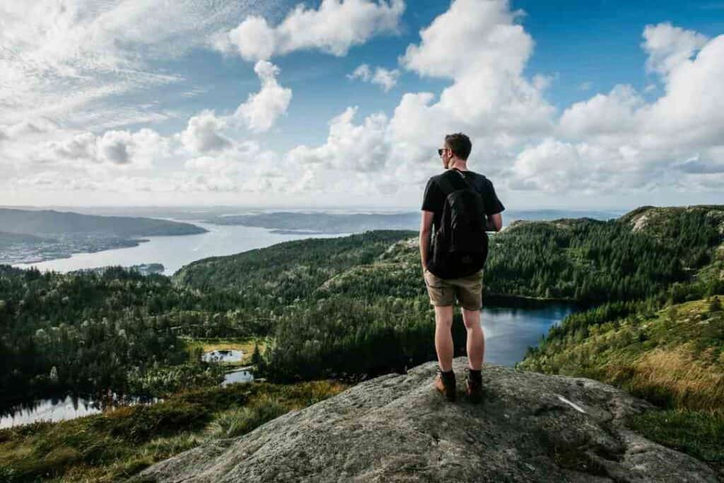 A man standing on a hilltop looking out over beautiful nature below with green forests, plains, a lake, and a fjord far below