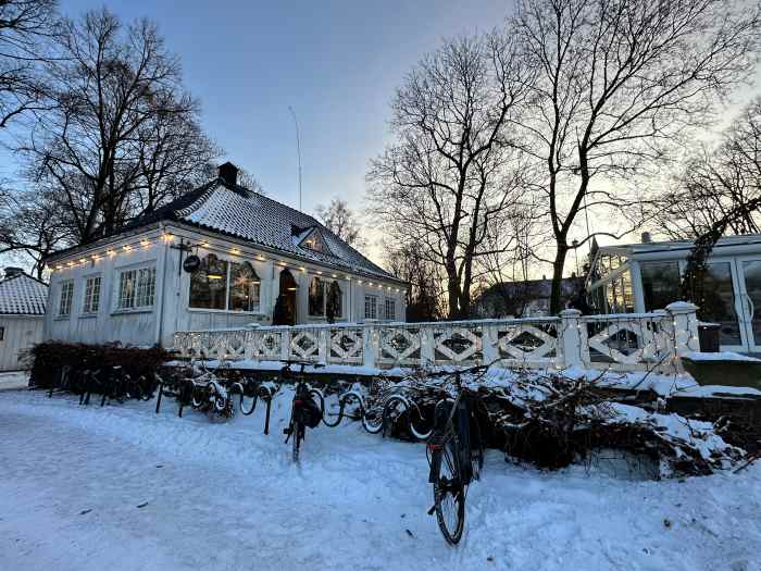 An old white beautiful wooden house covered in warm lights under naked trees on a winter day with white snow covering the ground, under a pale blue sky