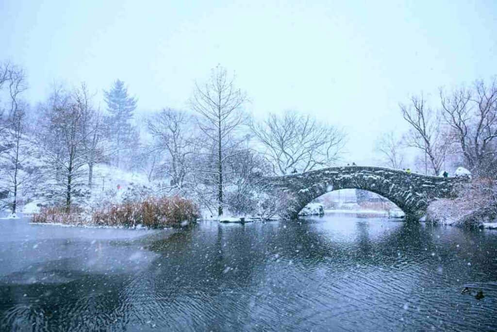 A beautiful icy lake during winter with a small stone bridge over and naked trees white with frosty snow on a bluish winter day