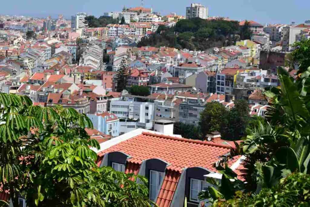 Photo of a city taken from a viewoint high above, with terracotta roods and white buildings with lots of green trees scattered everywhere on a sunny summer day. 