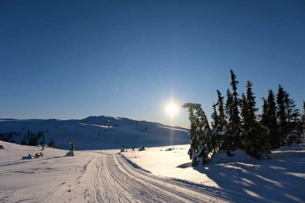 Powdery white winter snowy plains under a blue sky with ski tracks, trees, and hills in the distance. Norway in December. 