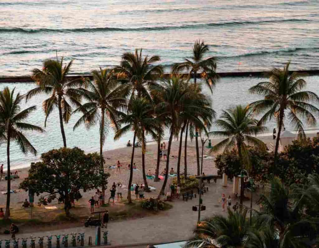 A golden beach at sunset with sunbathers still on the sands under the tall palm trees in the golden rays inside the surf